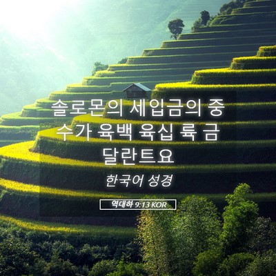 Picture 05 - 역대하 9:13 KOR - 솔로몬의 세입금의 중수가 육백 육십 - Bible Verse Picture