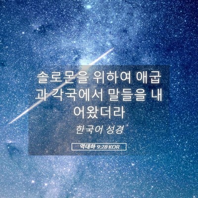Picture 05 - 역대하 9:28 KOR - 솔로몬을 위하여 애굽과 각국에서 - Bible Verse Picture