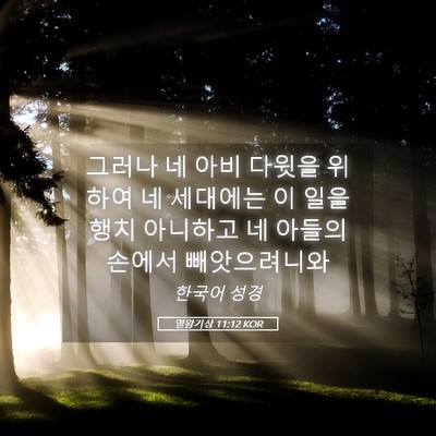 Picture 05 - 열왕기상 11:12 KOR - 그러나 네 아비 다윗을 위하여 네 - Bible Verse Picture
