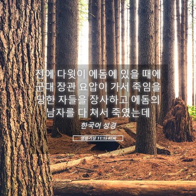 Picture 05 - 열왕기상 11:15 KOR - 전에 다윗이 에돔에 있을 때에 군대 - Bible Verse Picture