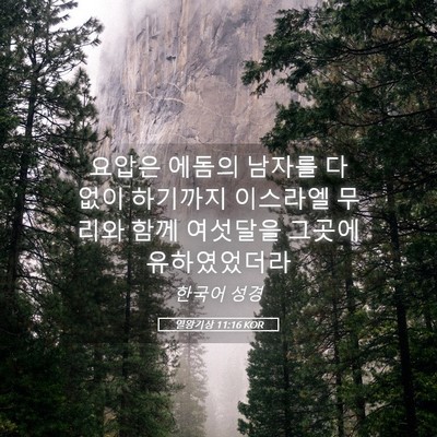Picture 05 - 열왕기상 11:16 KOR - 요압은 에돔의 남자를 다 없이 - Bible Verse Picture