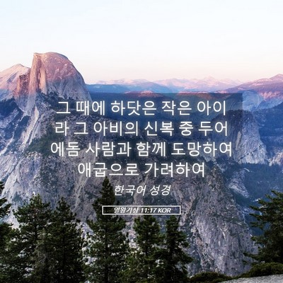 Picture 05 - 열왕기상 11:17 KOR - 그 때에 하닷은 작은 아이라 그 - Bible Verse Picture