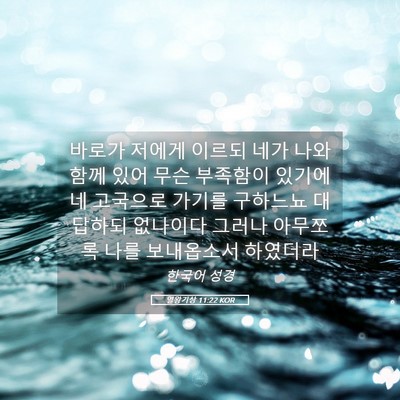Picture 05 - 열왕기상 11:22 KOR - 바로가 저에게 이르되 네가 나와 - Bible Verse Picture