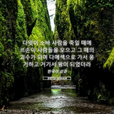 Picture 05 - 열왕기상 11:24 KOR - 다윗이 소바 사람을 죽일 때에 - Bible Verse Picture