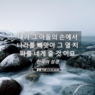 Picture 05 - 열왕기상 11:35 KOR - 내가 그 아들의 손에서 나라를 - Bible Verse Picture
