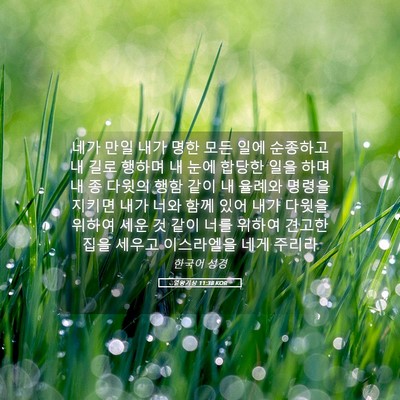 Picture 05 - 열왕기상 11:38 KOR - 네가 만일 내가 명한 모든 일에 - Bible Verse Picture