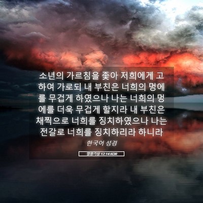 Picture 05 - 열왕기상 12:14 KOR - 소년의 가르침을 좇아 저희에게 - Bible Verse Picture