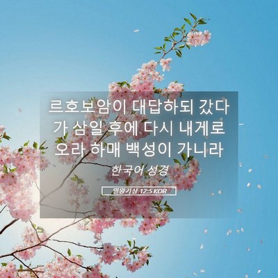 Picture 05 - 열왕기상 12:5 KOR - 르호보암이 대답하되 갔다가 삼일 - Bible Verse Picture