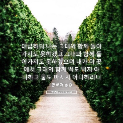Picture 05 - 열왕기상 13:16 KOR - 대답하되 나는 그대와 함께 - Bible Verse Picture