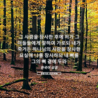 Picture 05 - 열왕기상 13:31 KOR - 그 사람을 장사한 후에 저가 그 - Bible Verse Picture