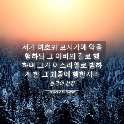 Picture 05 - 열왕기상 15:26 KOR - 저가 여호와 보시기에 악을 행하되 - Bible Verse Picture