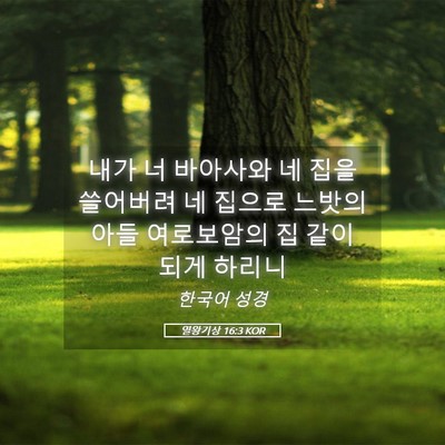 Picture 05 - 열왕기상 16:3 KOR - 내가 너 바아사와 네 집을 쓸어버려 - Bible Verse Picture