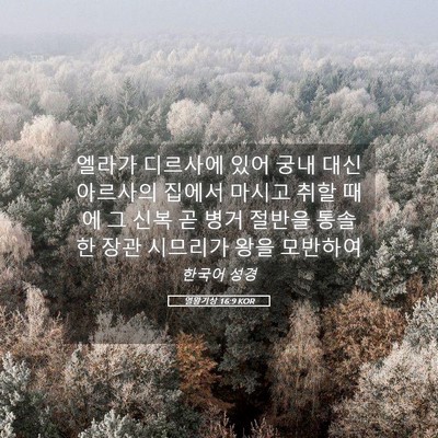 Picture 05 - 열왕기상 16:9 KOR - 엘라가 디르사에 있어 궁내 대신 - Bible Verse Picture
