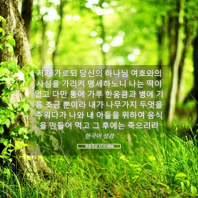 Picture 05 - 열왕기상 17:12 KOR - 저가 가로되 당신의 하나님 여호와의 - Bible Verse Picture