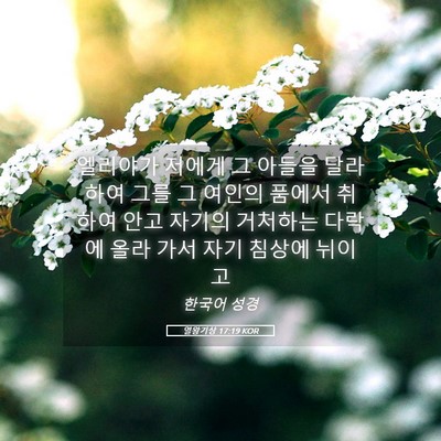 Picture 05 - 열왕기상 17:19 KOR - 엘리야가 저에게 그 아들을 달라 - Bible Verse Picture