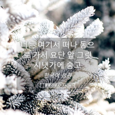 Picture 05 - 열왕기상 17:3 KOR - 너는 여기서 떠나 동으로 가서 요단 - Bible Verse Picture