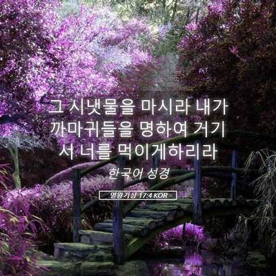 Picture 05 - 열왕기상 17:4 KOR - 그 시냇물을 마시라 내가 까마귀들을 - Bible Verse Picture