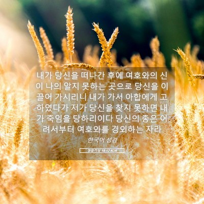 Picture 05 - 열왕기상 18:12 KOR - 내가 당신을 떠나간 후에 여호와의 - Bible Verse Picture