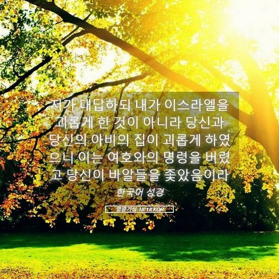 Picture 05 - 열왕기상 18:18 KOR - 저가 대답하되 내가 이스라엘을 - Bible Verse Picture