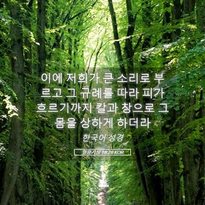 Picture 05 - 열왕기상 18:28 KOR - 이에 저희가 큰 소리로 부르고 그 - Bible Verse Picture