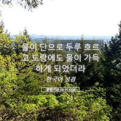 Picture 05 - 열왕기상 18:35 KOR - 물이 단으로 두루 흐르고 도랑에도 - Bible Verse Picture