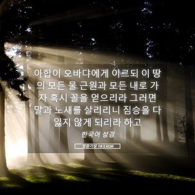 Picture 05 - 열왕기상 18:5 KOR - 아합이 오바댜에게 이르되 이 땅의 - Bible Verse Picture