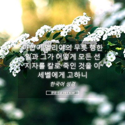 Picture 05 - 열왕기상 19:1 KOR - 아합이 엘리야의 무릇 행한일과 그가 - Bible Verse Picture