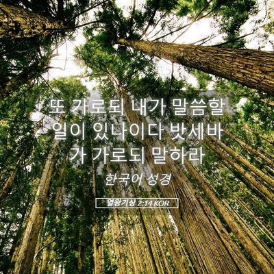 Picture 05 - 열왕기상 2:14 KOR - 또 가로되 내가 말씀할 일이 - Bible Verse Picture