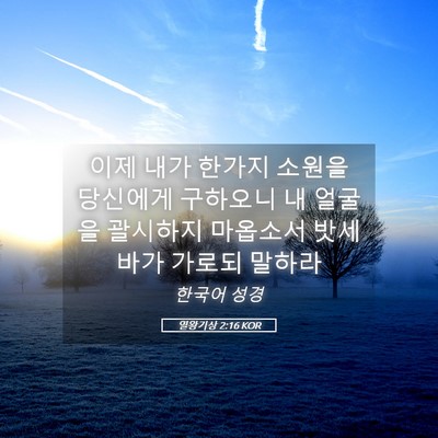 Picture 05 - 열왕기상 2:16 KOR - 이제 내가 한가지 소원을 당신에게 - Bible Verse Picture