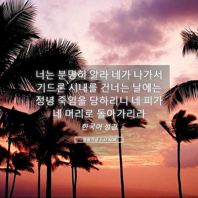 Picture 05 - 열왕기상 2:37 KOR - 너는 분명히 알라 네가 나가서 - Bible Verse Picture