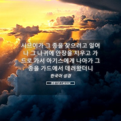 Picture 05 - 열왕기상 2:40 KOR - 시므이가 그 종을 찾으려고 일어나 - Bible Verse Picture