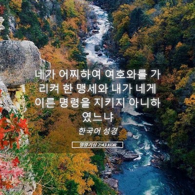 Picture 05 - 열왕기상 2:43 KOR - 네가 어찌하여 여호와를 가리켜 한 - Bible Verse Picture