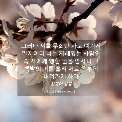 Picture 05 - 열왕기상 2:9 KOR - 그러나 저를 무죄한 자로 여기지 - Bible Verse Picture