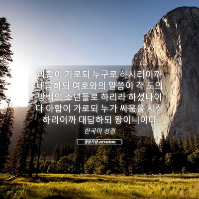 Picture 05 - 열왕기상 20:14 KOR - 아합이 가로되 누구로 하시리이까 - Bible Verse Picture