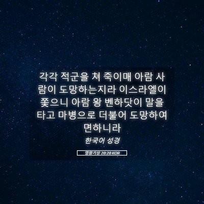 Picture 05 - 열왕기상 20:20 KOR - 각각 적군을 쳐 죽이매 아람 사람이 - Bible Verse Picture