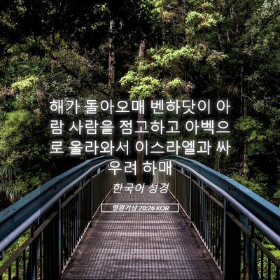 Picture 05 - 열왕기상 20:26 KOR - 해가 돌아오매 벤하닷이 아람 사람을 - Bible Verse Picture