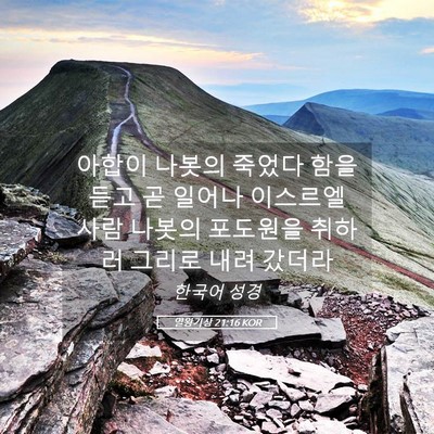 Picture 05 - 열왕기상 21:16 KOR - 아합이 나봇의 죽었다 함을 듣고 곧 - Bible Verse Picture