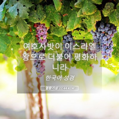 Picture 05 - 열왕기상 22:44 KOR - 여호사밧이 이스라엘 왕으로 더불어 - Bible Verse Picture