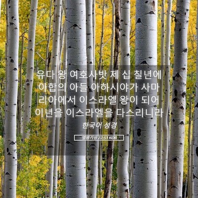 Picture 05 - 열왕기상 22:51 KOR - 유다 왕 여호사밧 제 십 칠년에 - Bible Verse Picture