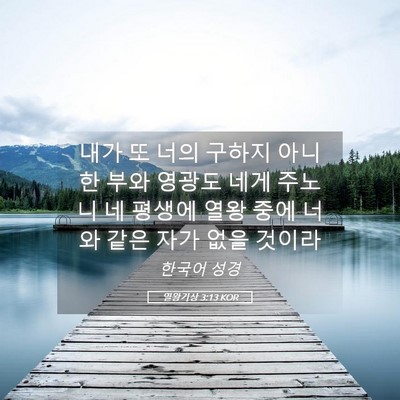 Picture 05 - 열왕기상 3:13 KOR - 내가 또 너의 구하지 아니한 부와 - Bible Verse Picture