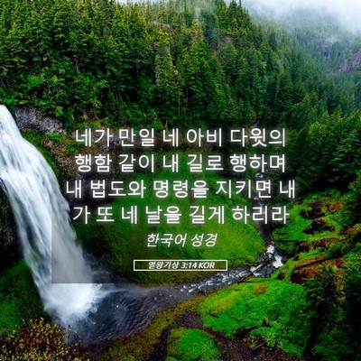 Picture 05 - 열왕기상 3:14 KOR - 네가 만일 네 아비 다윗의 행함 같이 - Bible Verse Picture