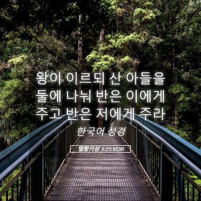Picture 05 - 열왕기상 3:25 KOR - 왕이 이르되 산 아들을 둘에 나눠 - Bible Verse Picture