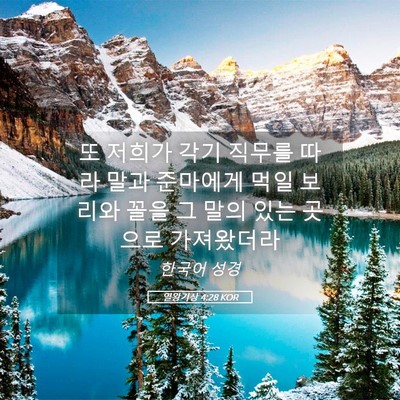Picture 05 - 열왕기상 4:28 KOR - 또 저희가 각기 직무를 따라 말과 - Bible Verse Picture