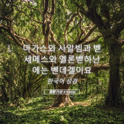 Picture 05 - 열왕기상 4:9 KOR - 마가스와 사알빔과 벧세메스와 - Bible Verse Picture