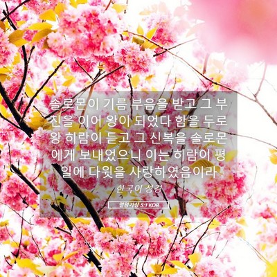 Picture 05 - 열왕기상 5:1 KOR - 솔로몬이 기름 부음을 받고 그 - Bible Verse Picture