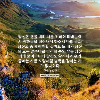 Picture 05 - 열왕기상 5:6 KOR - 당신은 영을 내려 나를 위하여 - Bible Verse Picture