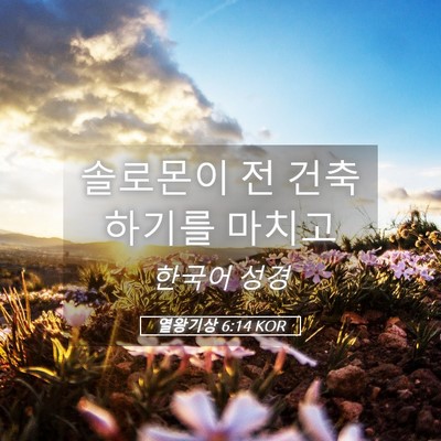 Picture 05 - 열왕기상 6:14 KOR - 솔로몬이 전 건축하기를 - Bible Verse Picture