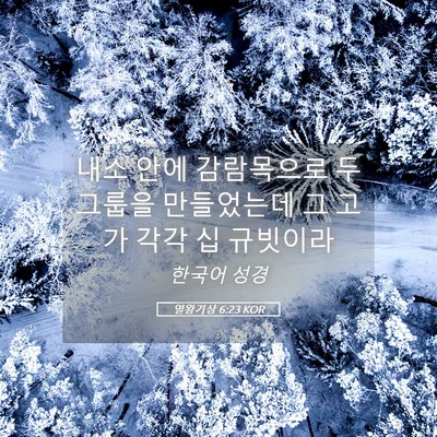 Picture 05 - 열왕기상 6:23 KOR - 내소 안에 감람목으로 두 그룹을 - Bible Verse Picture