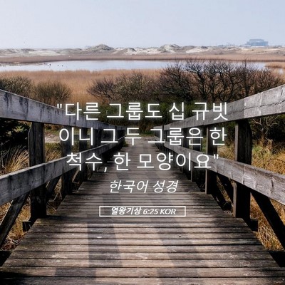 Picture 05 - 열왕기상 6:25 KOR - 