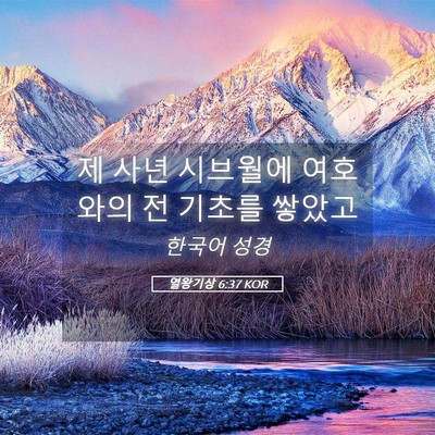 Picture 05 - 열왕기상 6:37 KOR - 제 사년 시브월에 여호와의 전 - Bible Verse Picture
